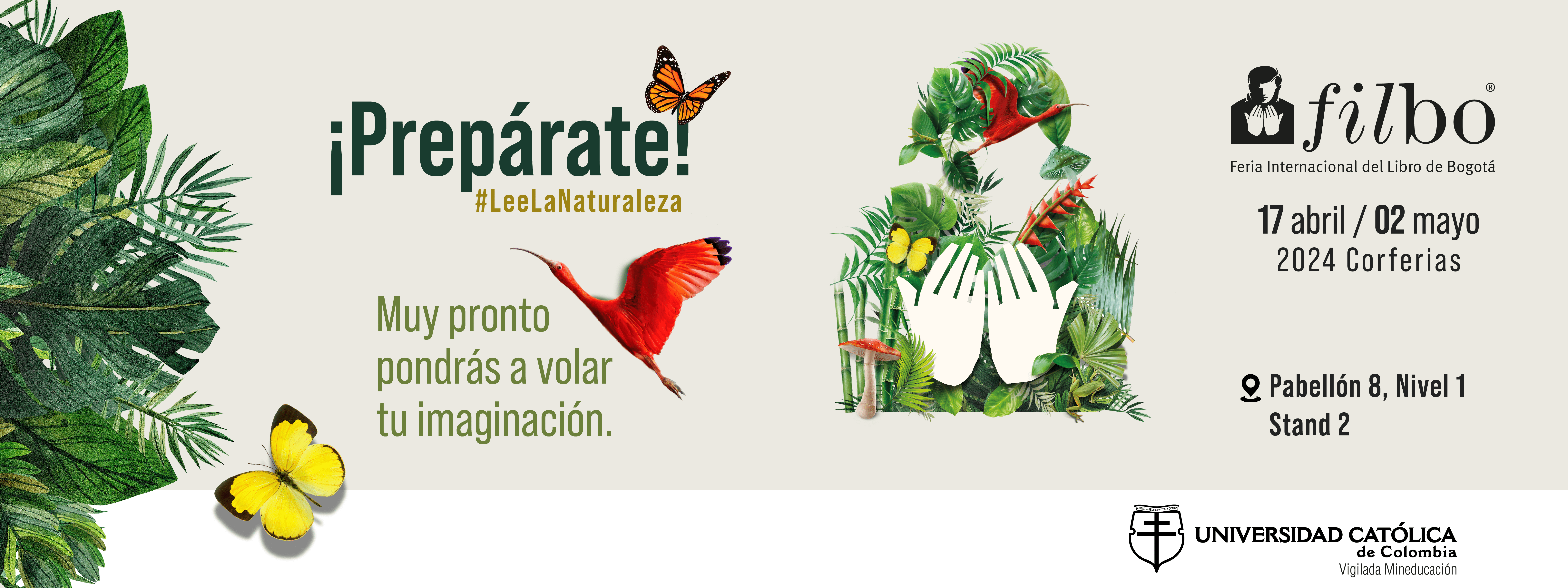 Información de la filbo